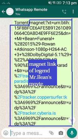 Torrent command, whatsapp cloud remote